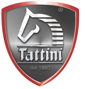 Tattini