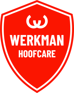 Werkman