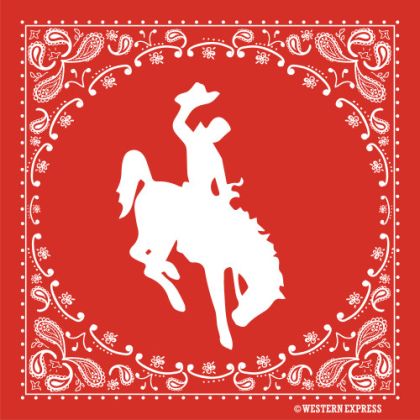 Бандана Red Flames Horses / BA-4002-R