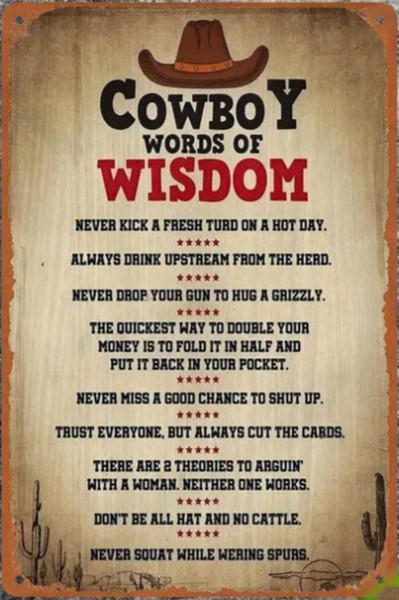 Метален уестърн постер / Cowboy words of wisdom